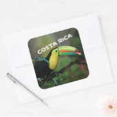 Costa Rica met kleurrijke Toucan Vierkante Sticker (Envelop)