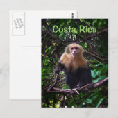 Costa Rica Monkey Briefkaart (Voorkant / Achterkant)