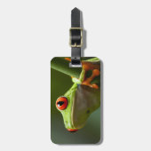 Costa Rica, Monteverde, kikker met rode ogen Bagagelabel (Voorkant verticaal)
