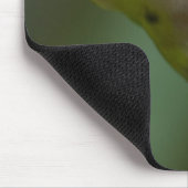 Costa Rica, Monteverde, kikker met rode ogen Muismat (Hoek)