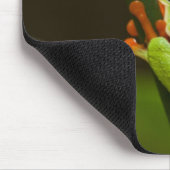 Costa Rica, Monteverde, kikker met rode ogen Muismat (Hoek)