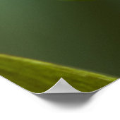 Costa Rica, Monteverde, kikker met rode ogen Poster (Hoek)