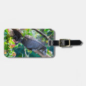 Costa Rica, Muelle - Lazy Iguana die in een boom r Bagagelabel (Voorkant horizontaal)