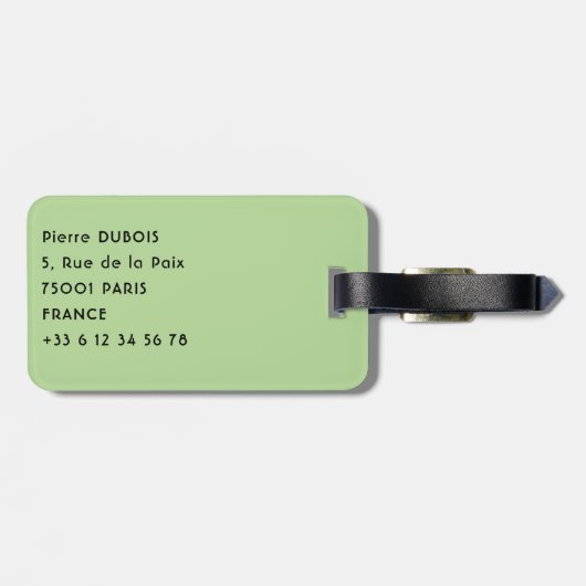 Costa Rica, Muelle - Lazy Iguana die in een boom r Bagagelabel (Achterkant horizontaal)