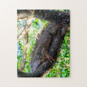 Costa Rica, Muelle - Lazy Iguana die in een boom r Legpuzzel (Verticaal)