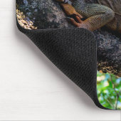 Costa Rica, Muelle - Lazy Iguana die in een boom r Muismat (Hoek)