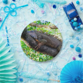 Costa Rica, Muelle - Lazy Iguana die in een boom r Papieren Bordje (Feest)