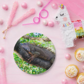 Costa Rica, Muelle - Lazy Iguana die in een boom r Papieren Bordje (Feest)