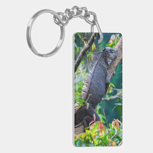 Costa Rica, Muelle - Lazy Iguana die in een boom r Sleutelhanger (Voorkant Links)