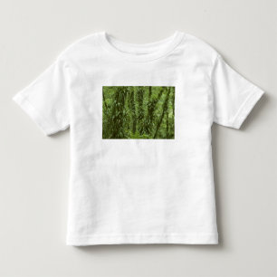 Costa Rica, Nationaal park Arenal, regenwoud Kinder Shirts