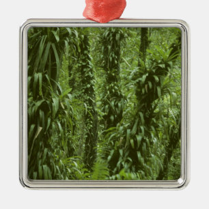 Costa Rica, Nationaal park Arenal, regenwoud Metalen Ornament