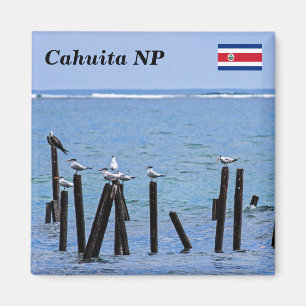 Costa Rica, Nationaal Park Cahuita - Koninklijke T Magneet