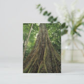 Costa Rica, Nationaal Park Corcovado, Buttpress Briefkaart (Staand voorkant)