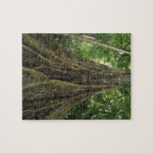 Costa Rica, Nationaal Park Corcovado, Buttpress Legpuzzel (Horizontaal)