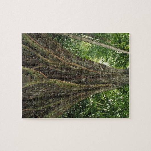 Costa Rica, Nationaal Park Corcovado, Buttpress Legpuzzel (Horizontaal)