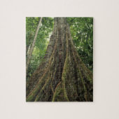 Costa Rica, Nationaal Park Corcovado, Buttpress Legpuzzel (Verticaal)