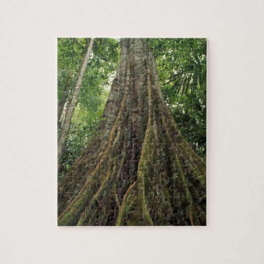 Costa Rica, Nationaal Park Corcovado, Buttpress Legpuzzel (Verticaal)