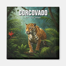 Costa Rica National Park Travel Jaguar