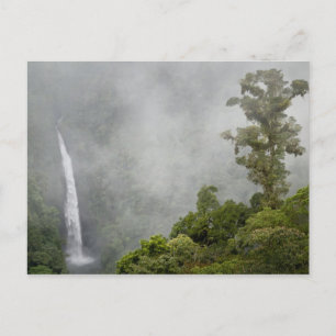 Costa Rica, nevelwoud in bergen bij La Briefkaart