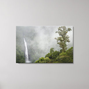 Costa Rica, nevelwoud in bergen bij La Canvas Afdruk