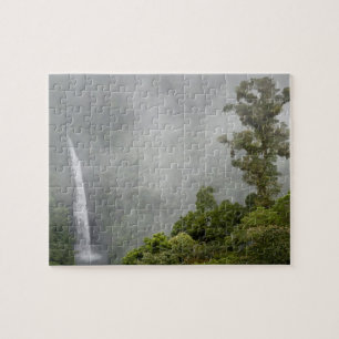 Costa Rica, nevelwoud in bergen bij La Legpuzzel