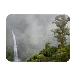 Costa Rica, nevelwoud in bergen bij La Magneet