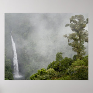 Costa Rica, nevelwoud in bergen bij La Poster
