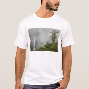 Costa Rica, nevelwoud in bergen bij La T-shirt