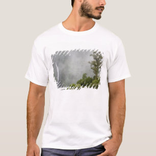 Costa Rica, nevelwoud in bergen bij La T-shirt