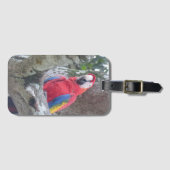 Costa Rica Oerwoud Bird Bagagelabel (Voorkant (horizontaal))