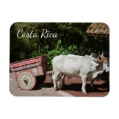 Costa Rica Oxcart Magneet (Horizontaal)
