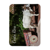 Costa Rica Oxcart Magneet (Verticaal)