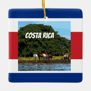 Costa Rica - Paarden bij het water Keramisch Ornament