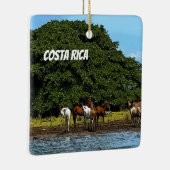 Costa Rica - Paarden bij het water Keramisch Ornament (Rechts)