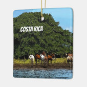 Costa Rica - Paarden bij het water Keramisch Ornament (Links)