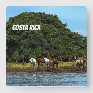 Costa Rica - Paarden bij het water Vierkante Klok