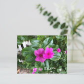 Costa Rica Paarse Flower Briefkaart (Staand voorkant)