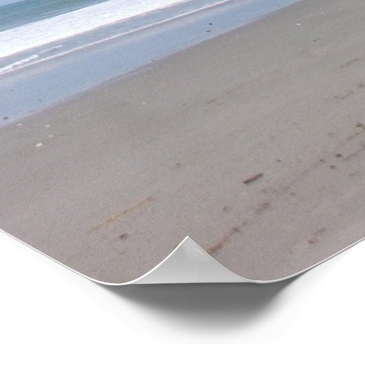 Costa Rica Palm #3 Poster (Hoek)