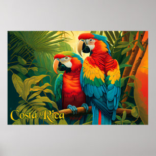 Costa Rica Papegaaien Poster