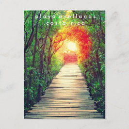 Costa Rica Playa Avellanas Mangrove Briefkaart