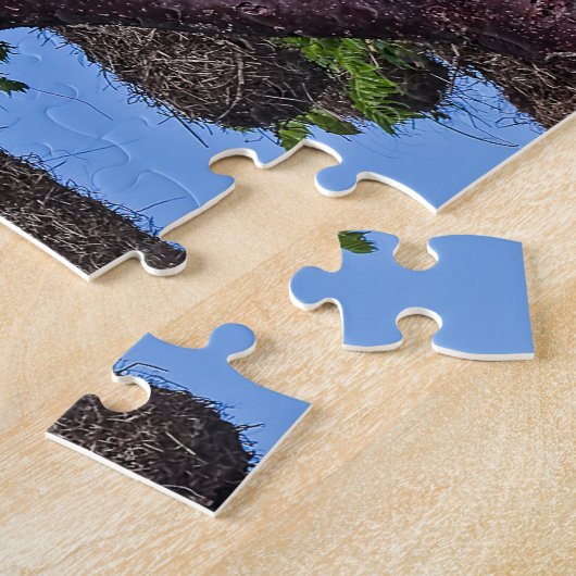 Costa Rica, Punta Cahuita - Psarocolius decumanus Legpuzzel (Zijkant)