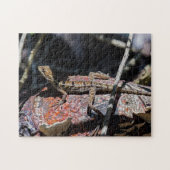 Costa Rica, Punta Cahuita - Vrouw basilisk Lizard Legpuzzel (Horizontaal)