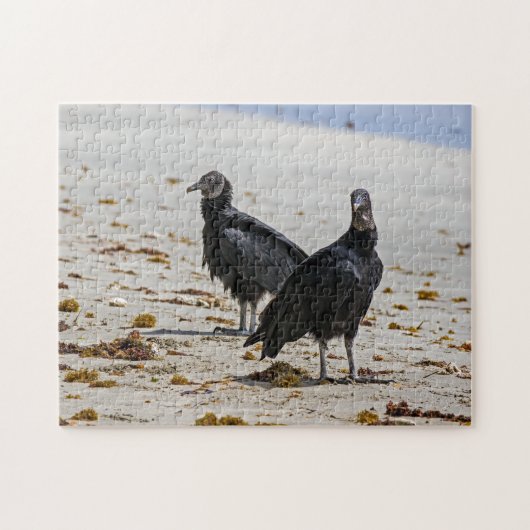 Costa Rica, Punta Cahuita - Zwarte gieren Legpuzzel (Horizontaal)