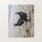 Costa Rica, Punta Cahuita - Zwarte gieren Legpuzzel (Verticaal)