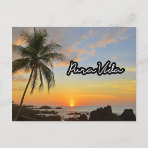 Costa Rica Pura Vida Beach Souvenir Briefkaart
