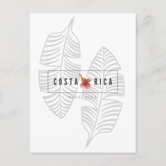 Costa Rica Pura Vida Briefkaart met tropisch lef (Voorkant)