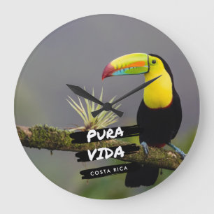 Costa Rica Pura Vida Toucan Foto Grote Klok