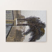 Costa Rica Rain Legpuzzel (Horizontaal)