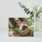 Costa Rica Rainforest Sloth Briefkaart (Staand voorkant)
