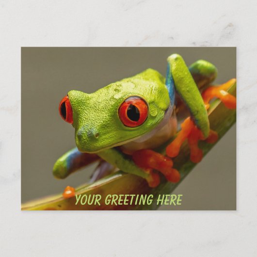 Costa Rica Red-Eyed Frog - Gepersonaliseerd Briefkaart (Voorkant)